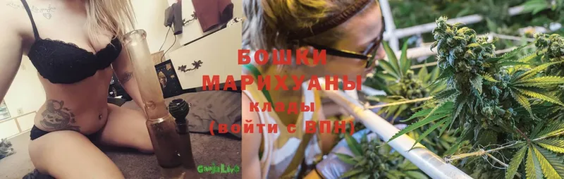 Канабис SATIVA & INDICA  Клин 